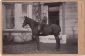 Joseph Naters Arnison (Jr.) on horseback